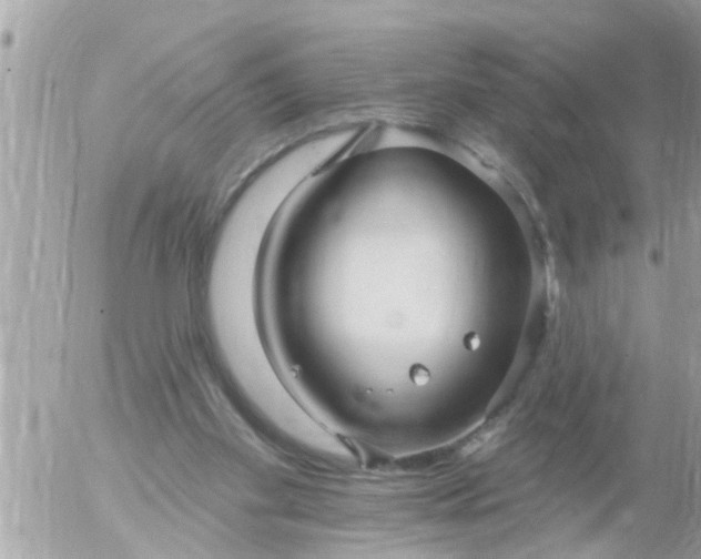 X0000055520109200508262215