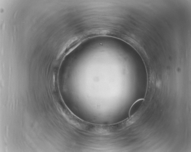 X0000055520110200508262215