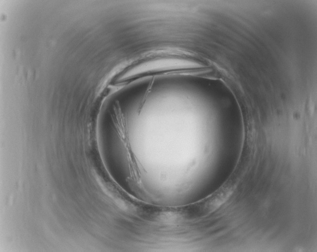 X0000055520111200508262215