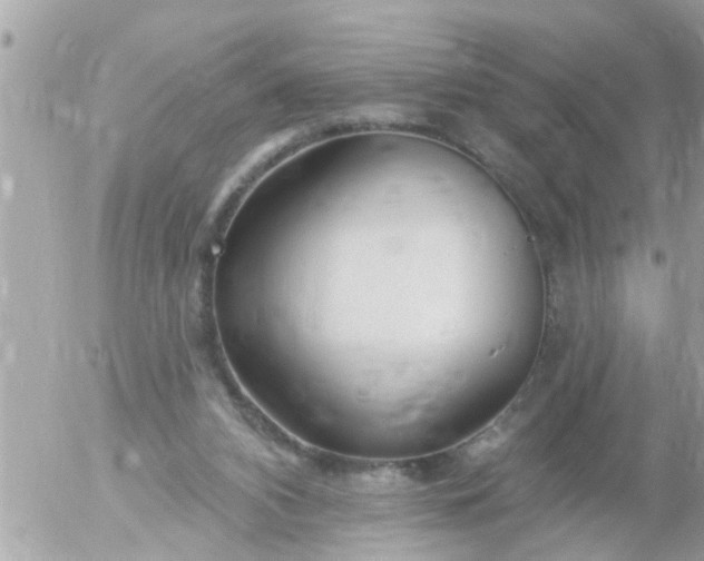 X0000055520112200508262215