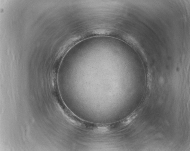 X0000055520114200508262215