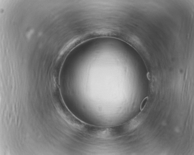 X0000055520116200508262215