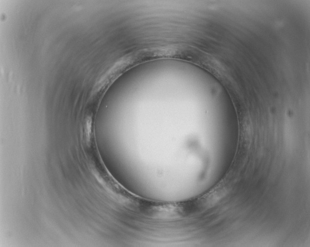 X0000055520118200508262215