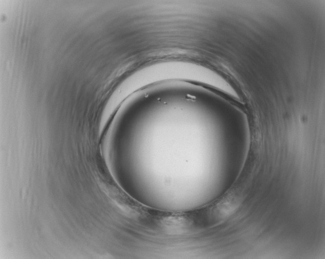 X0000055520119200508262215