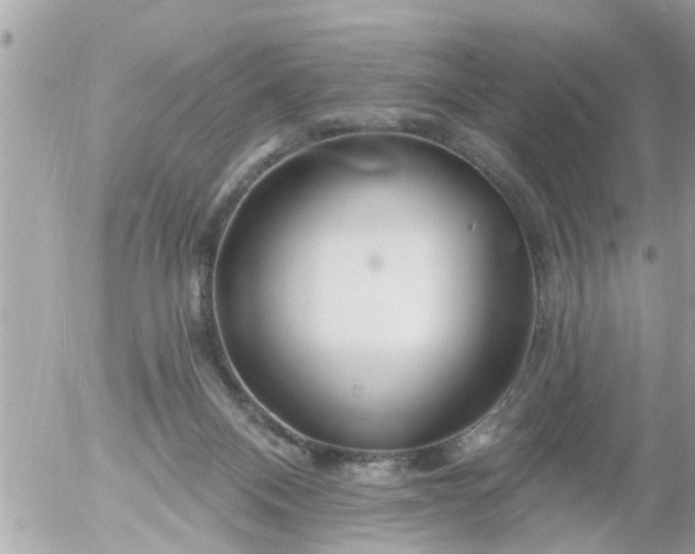 X0000055520120200508262215