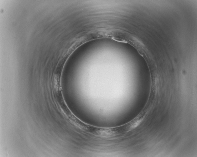 X0000055520121200508262215