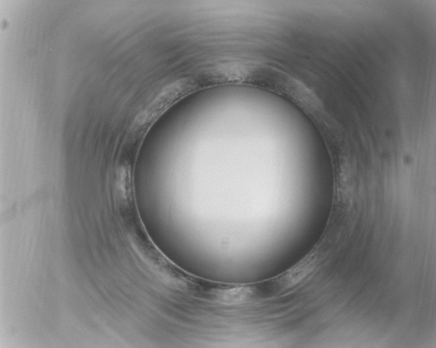 X0000055520122200508262215