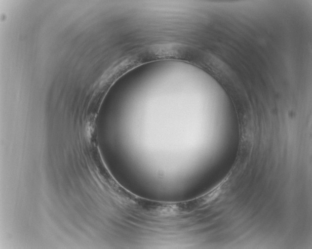 X0000055520124200508262215