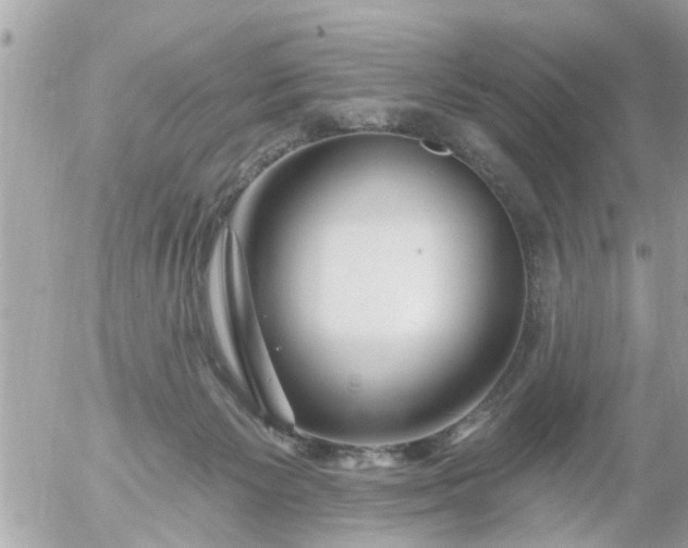 X0000055520125200508262215