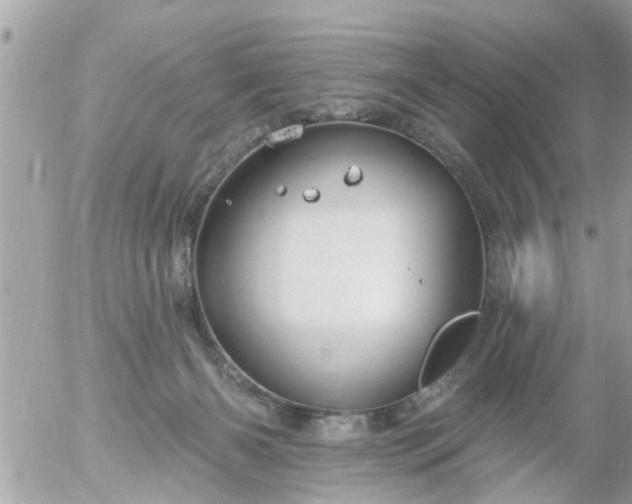 X0000055520126200508262215