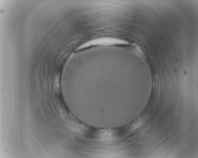 X0000055520127200508262215