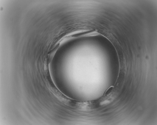 X0000055520131200508262215