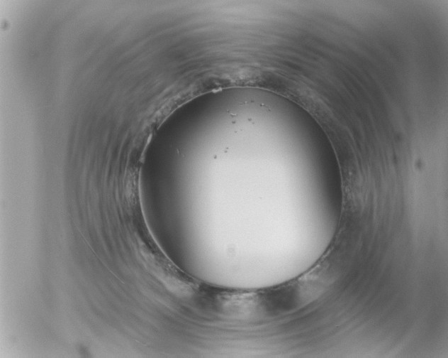 X0000055520132200508262215