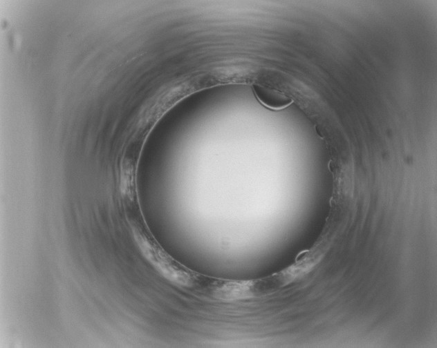 X0000055520138200508262215