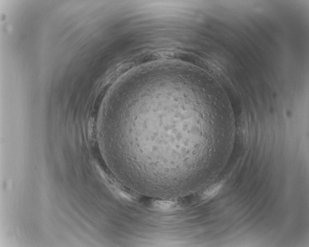 X0000055520139200508262215