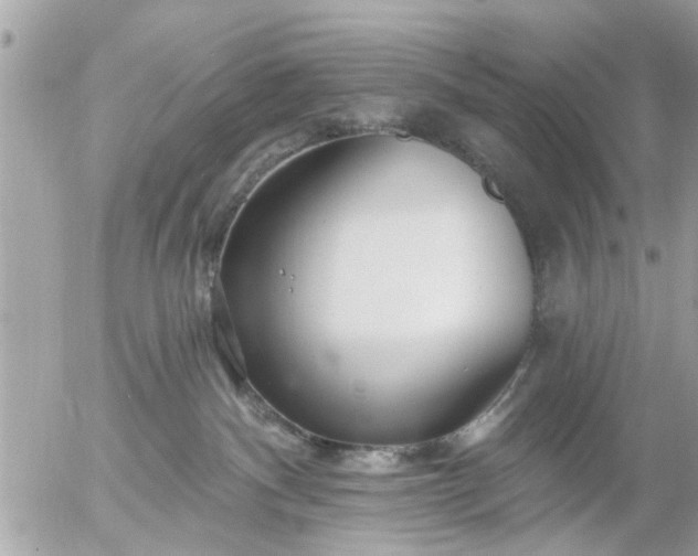 X0000055520140200508262215