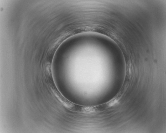 X0000055520141200508262215