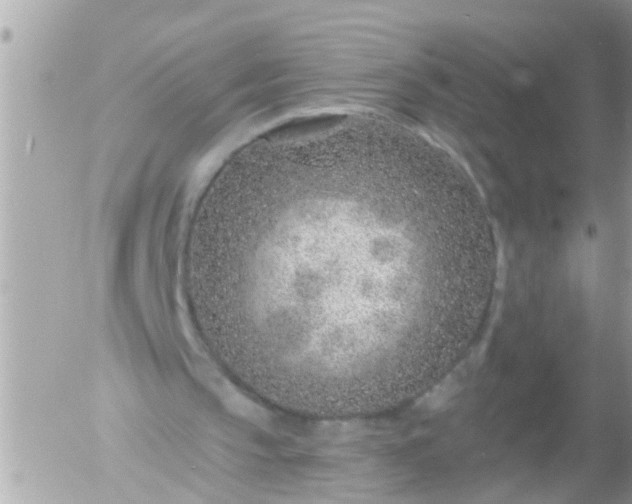 X0000055520145200508262214