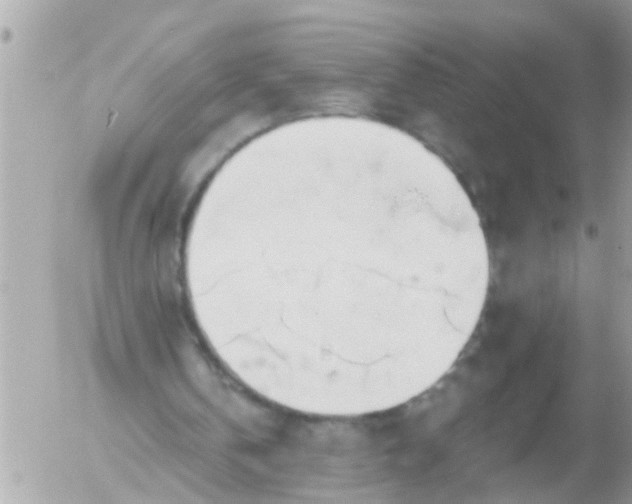 X0000055520146200508262214