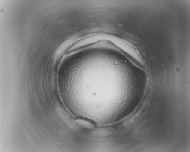 X0000055520149200508262214