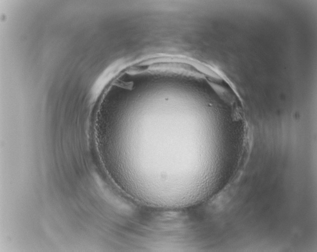 X0000055520151200508262214