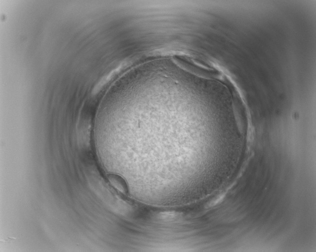 X0000055520153200508262214