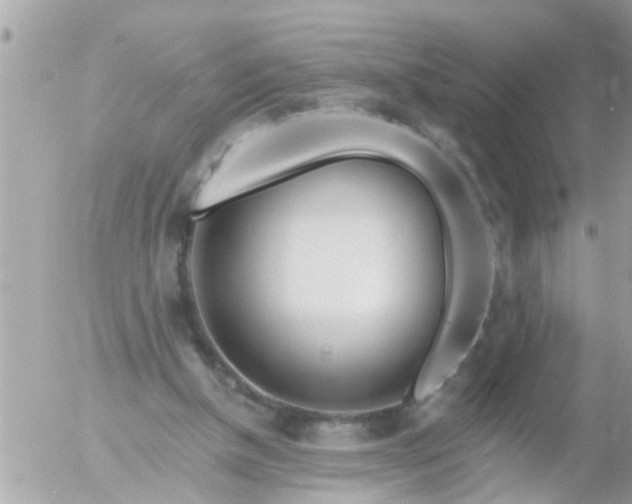 X0000055520154200508262214