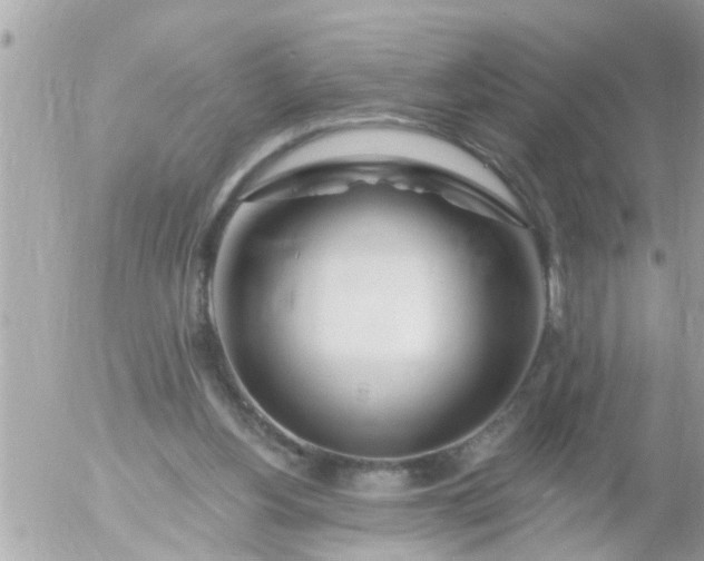 X0000055520156200508262214