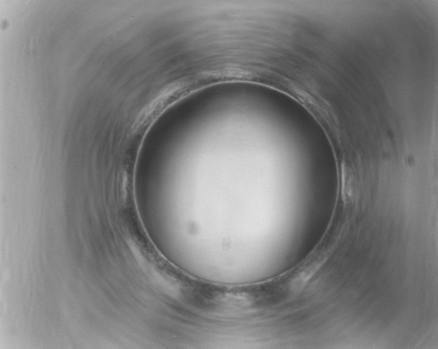 X0000055520157200508262214