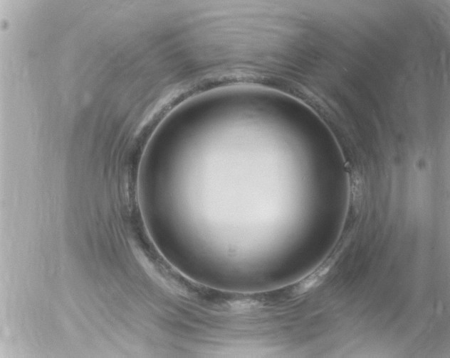 X0000055520158200508262214