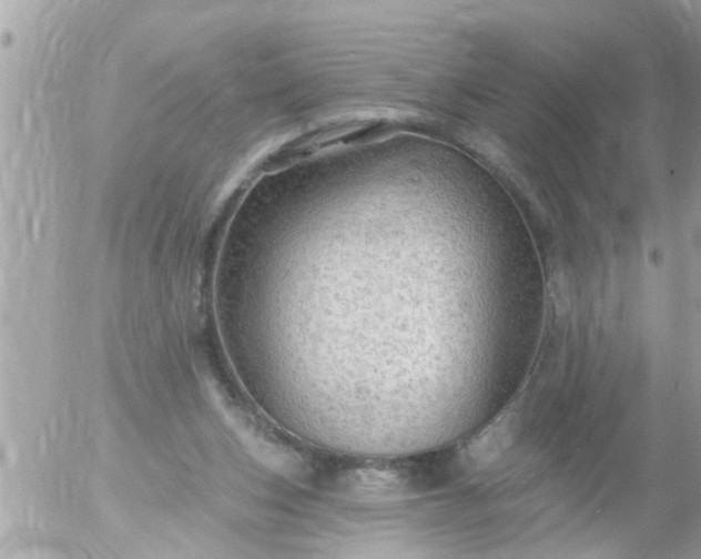 X0000055520159200508262214