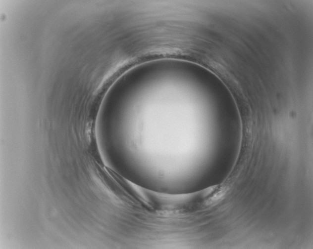 X0000055520160200508262214