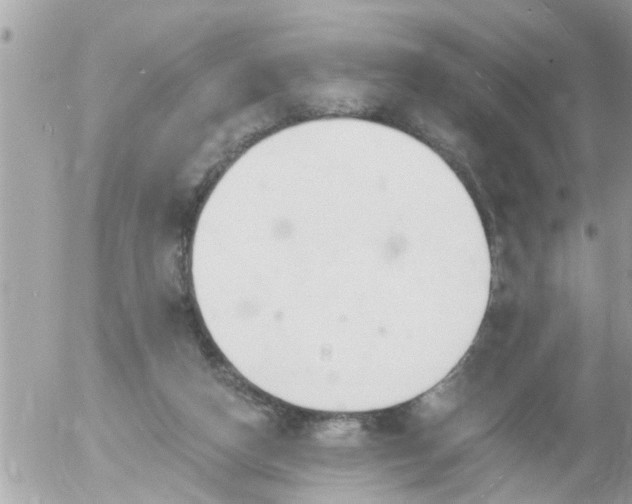 X0000055520162200508262214