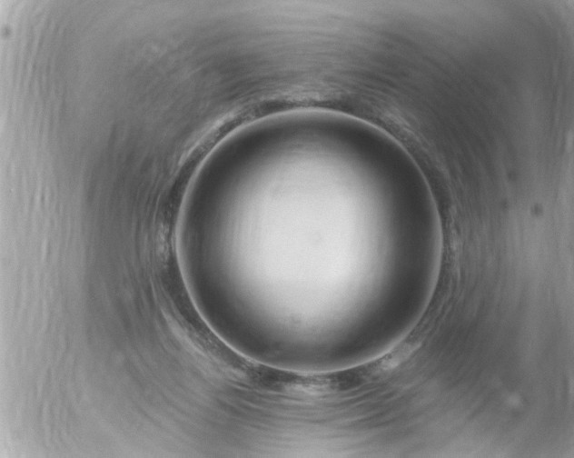 X0000055520164200508262214