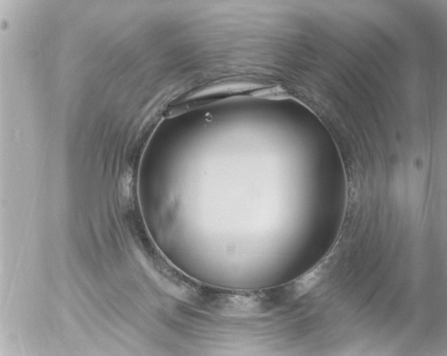 X0000055520166200508262214