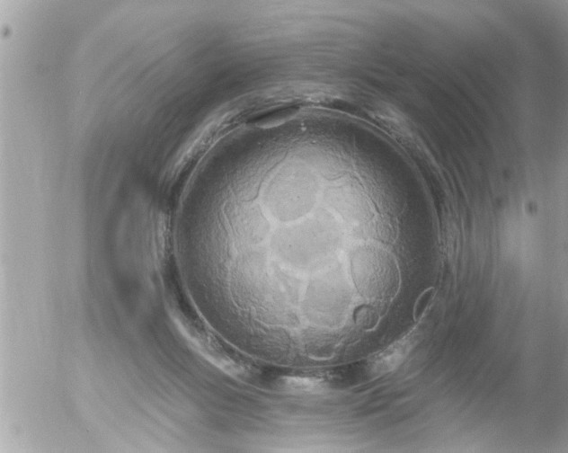 X0000055520167200508262214