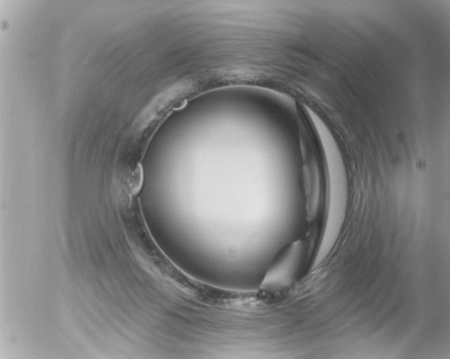 X0000055520168200508262214