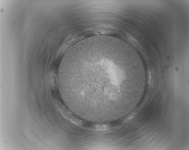 X0000055520169200508262214