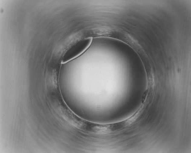 X0000055520170200508262214