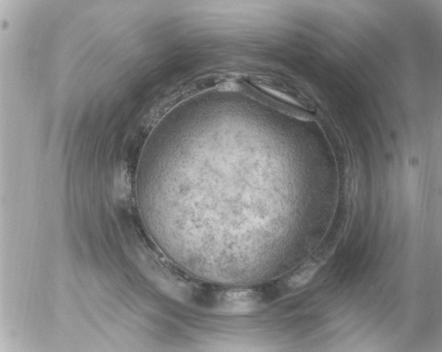 X0000055520173200508262215