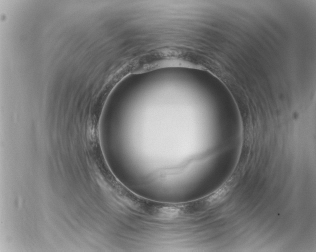 X0000055520176200508262215