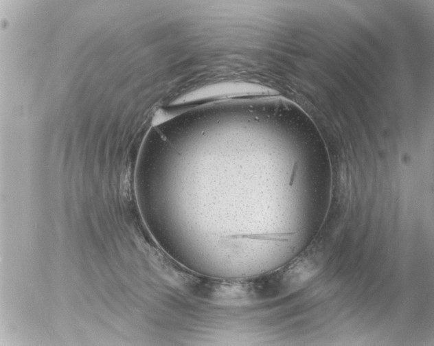 X0000055520177200508262215