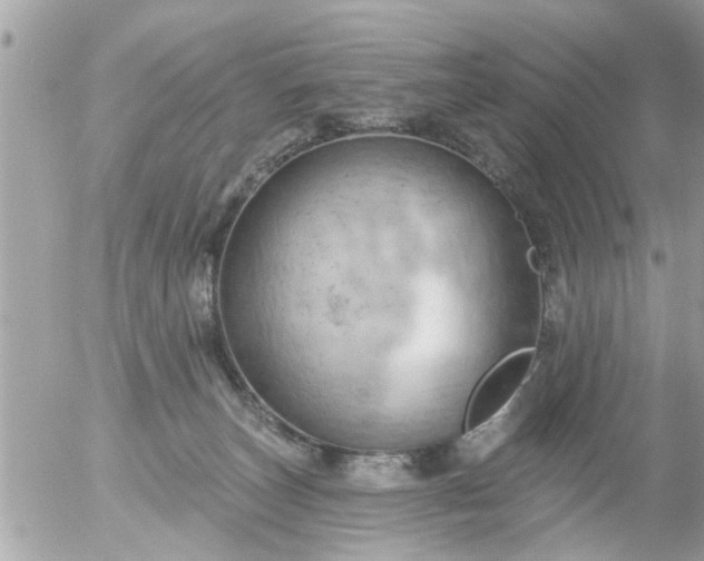 X0000055520179200508262215