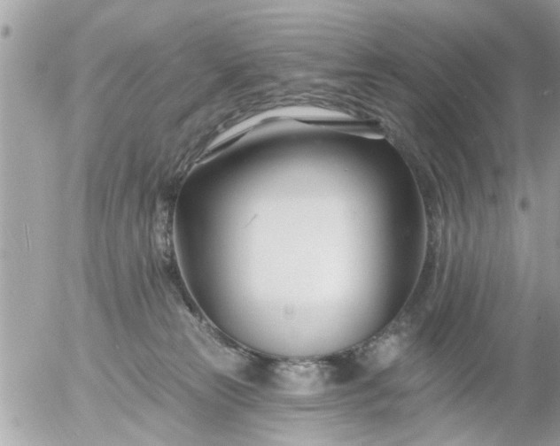 X0000055520181200508262215