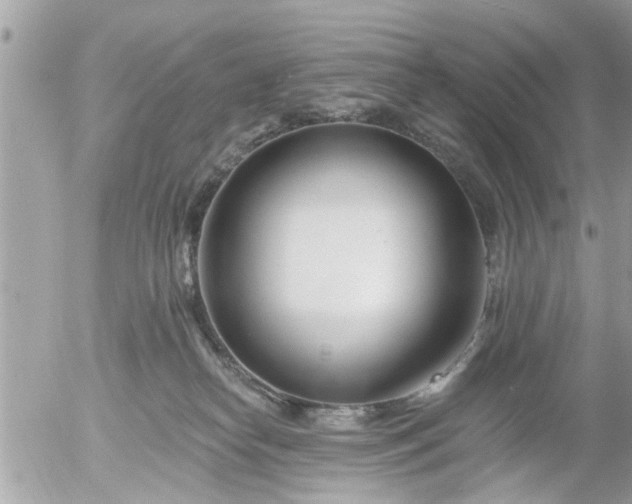 X0000055520182200508262215