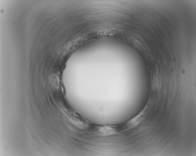 X0000055520183200508262215