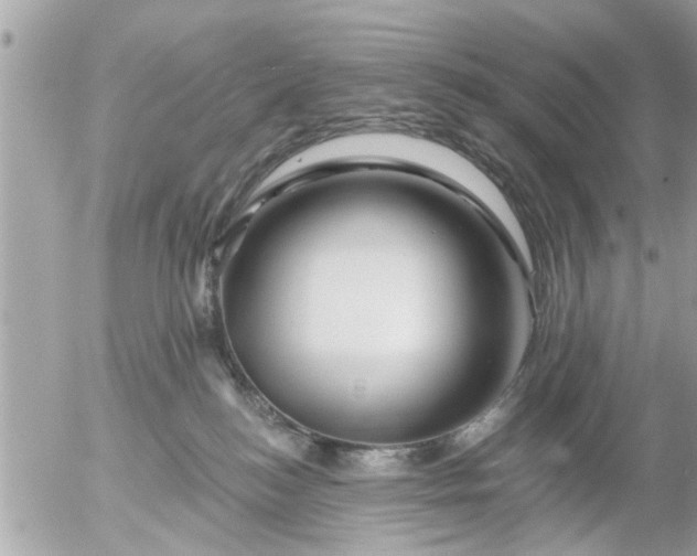 X0000055520184200508262215