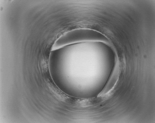 X0000055520186200508262215