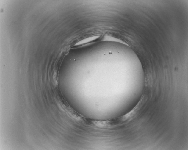 X0000055520187200508262215