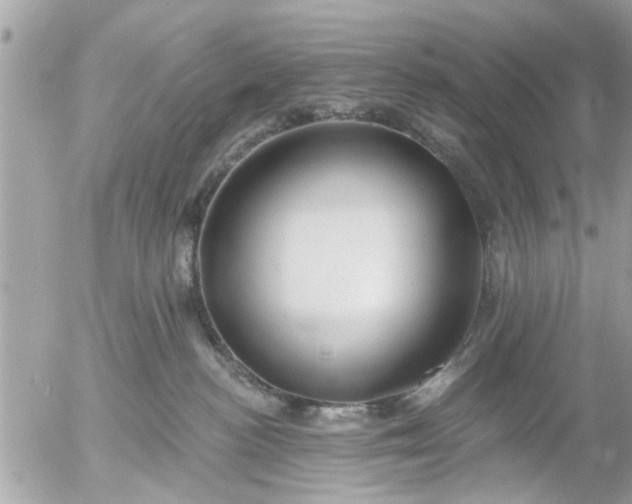 X0000055520188200508262215